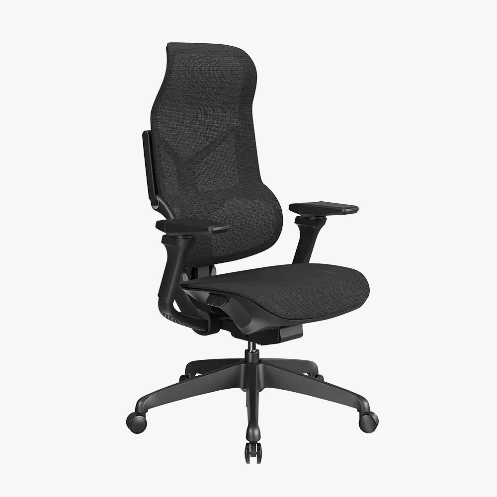 Ergonomic Chairs